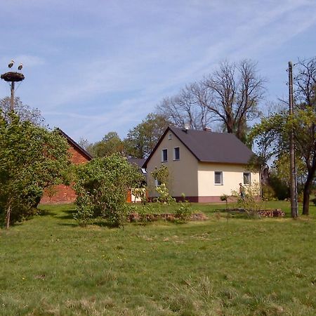Ferienwohnung Am Storchennest Schmogrow ภายนอก รูปภาพ
