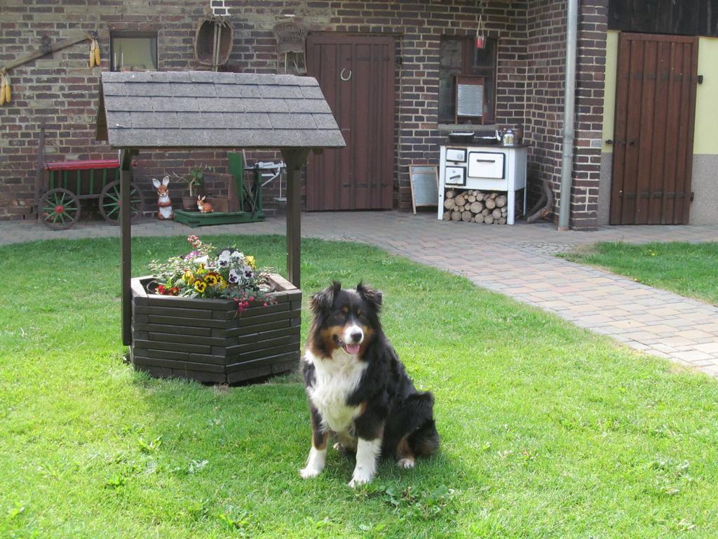 Ferienwohnung Am Storchennest Schmogrow ภายนอก รูปภาพ